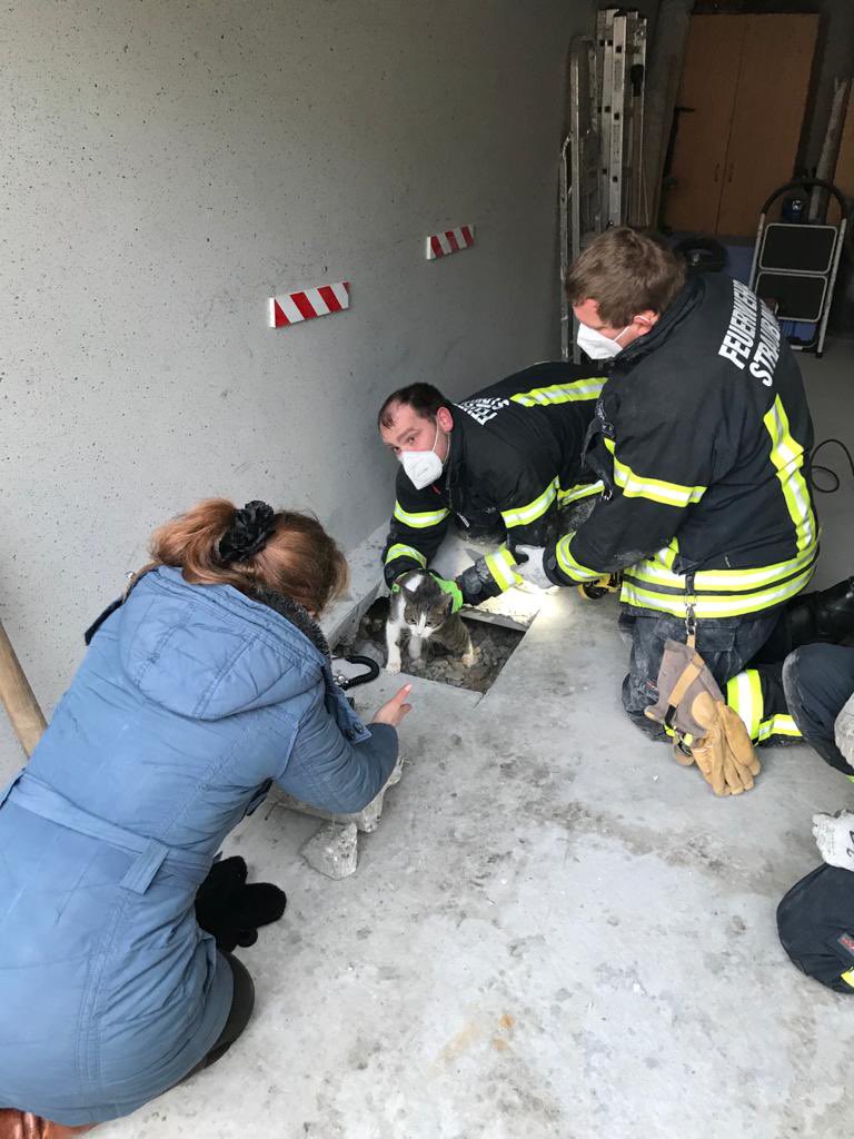 Fw_Straubing's tweet photo. +++  Katze befreit +++

Tierische Einsatz 🚨 für unsere Sonderschleife. Mit Hilfe eines großen Motortrennschleifers konnten wir eine Katze 🐈 aus ihrer misslichen Lage unter einer Garage befreien und wohlauf an die Besitzerin übergeben. 
#WirFürStraubing #Ehrenamt https://t.co/EGrg4Zzf6x