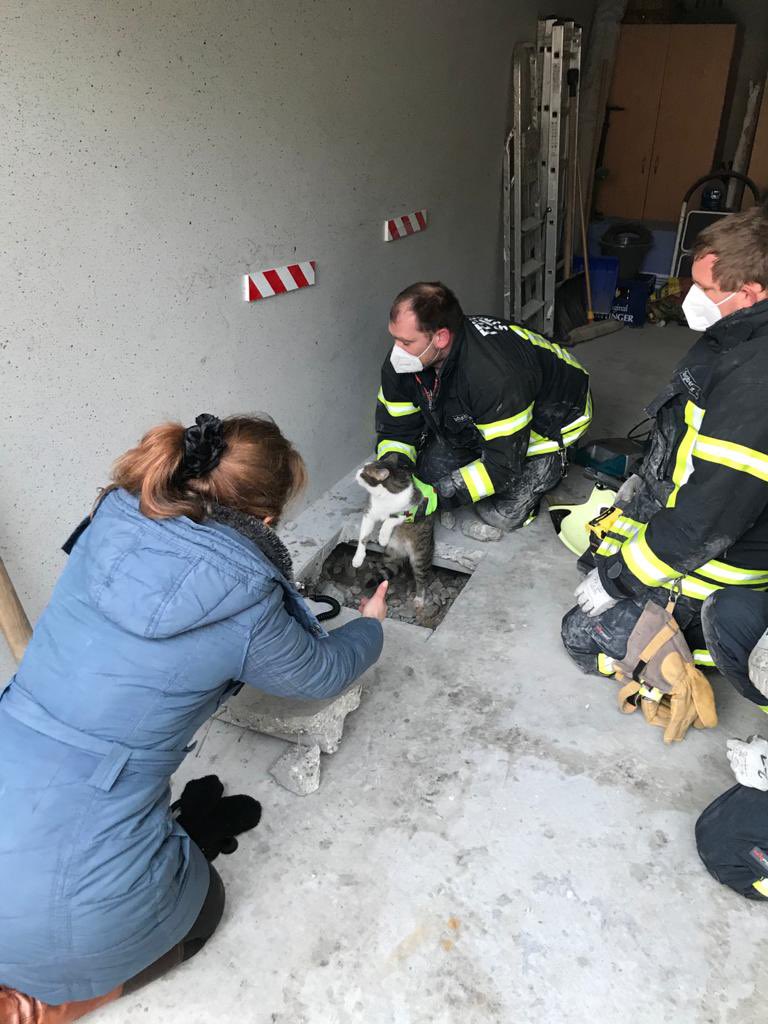 Fw_Straubing's tweet photo. +++  Katze befreit +++

Tierische Einsatz 🚨 für unsere Sonderschleife. Mit Hilfe eines großen Motortrennschleifers konnten wir eine Katze 🐈 aus ihrer misslichen Lage unter einer Garage befreien und wohlauf an die Besitzerin übergeben. 
#WirFürStraubing #Ehrenamt https://t.co/EGrg4Zzf6x