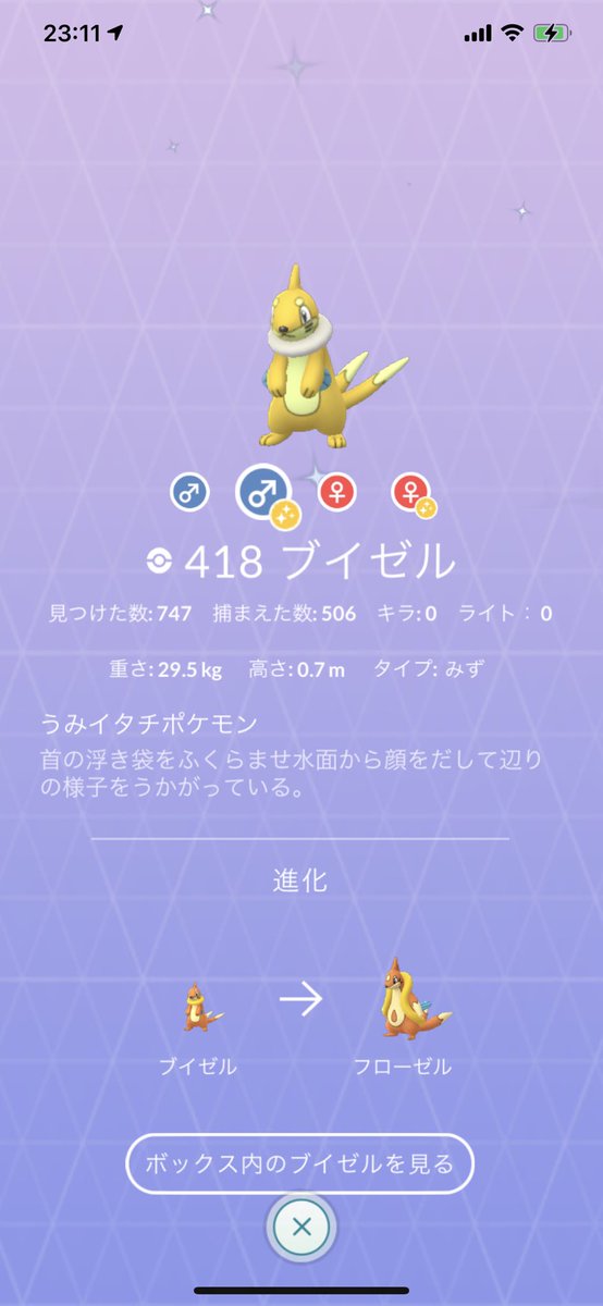 ぐるこーす 終了 747 198タップで色違い1匹 0 51 早めに出てくれたお陰でシンオウイベント殆ど引きこもっていたっていう ポケモンgo ぐるこーす 終了 747 198タップで色違い1匹 0 51 早めに出てくれたお陰でシンオウイベント殆ど引きこもっていたっていう ポケモンgo
