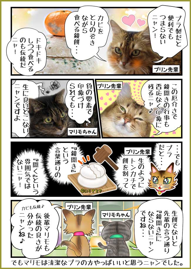 猫餅 猫餅