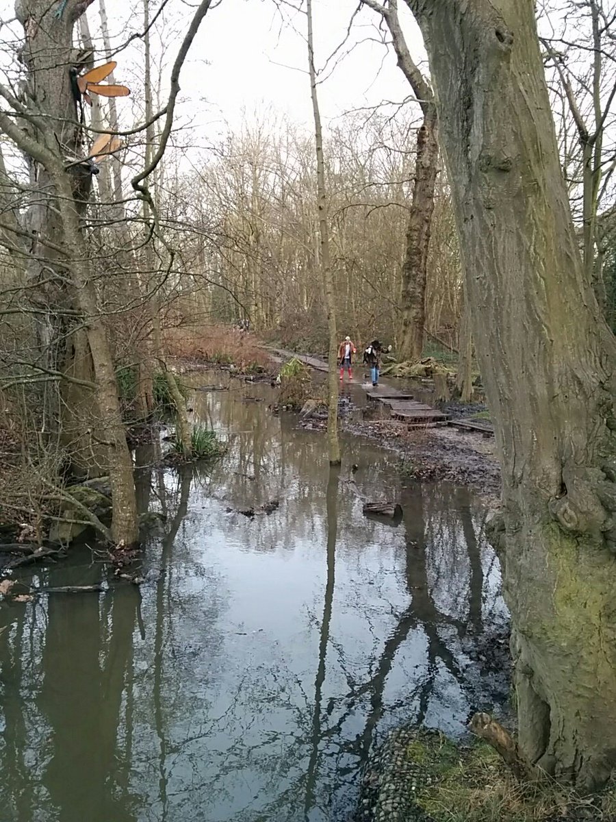 AlisonJArcher's tweet image. Today's 5-park walk: Arnos, Michenden, Grovelands, Conway, Broomfield. Look UP to 800-year-old oak. Wateriness. #lockdownwalks #stayinglocal #mixitup #eminenttrees #EnfieldParks #Londonlockdown #NationalParkCity @LondonNPC