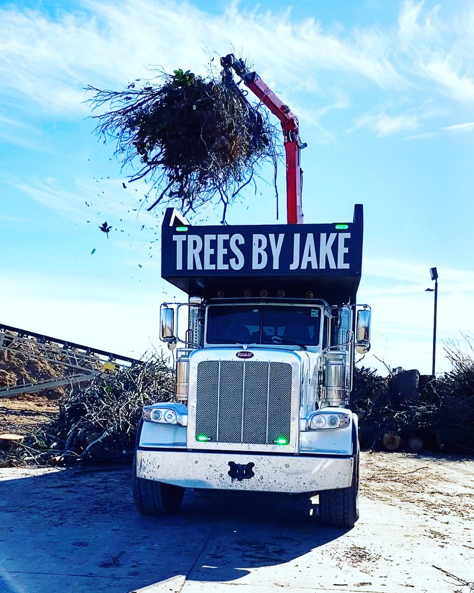 Light her up!  💡🚛🌲💪🏻