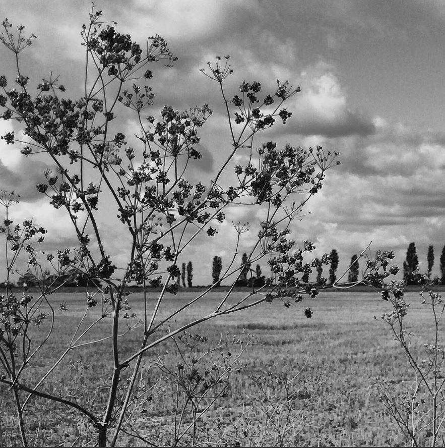 HooklandGuide's tweet photo. For stories have so seeped in the ghost soil that to make any walk across it is to scuff one up. Our only choice is to listen to this telling of the land or try to dismiss it and move on. I know which I prefer to do. #CLNolan #LandscapePunk https://t.co/saaun479P8