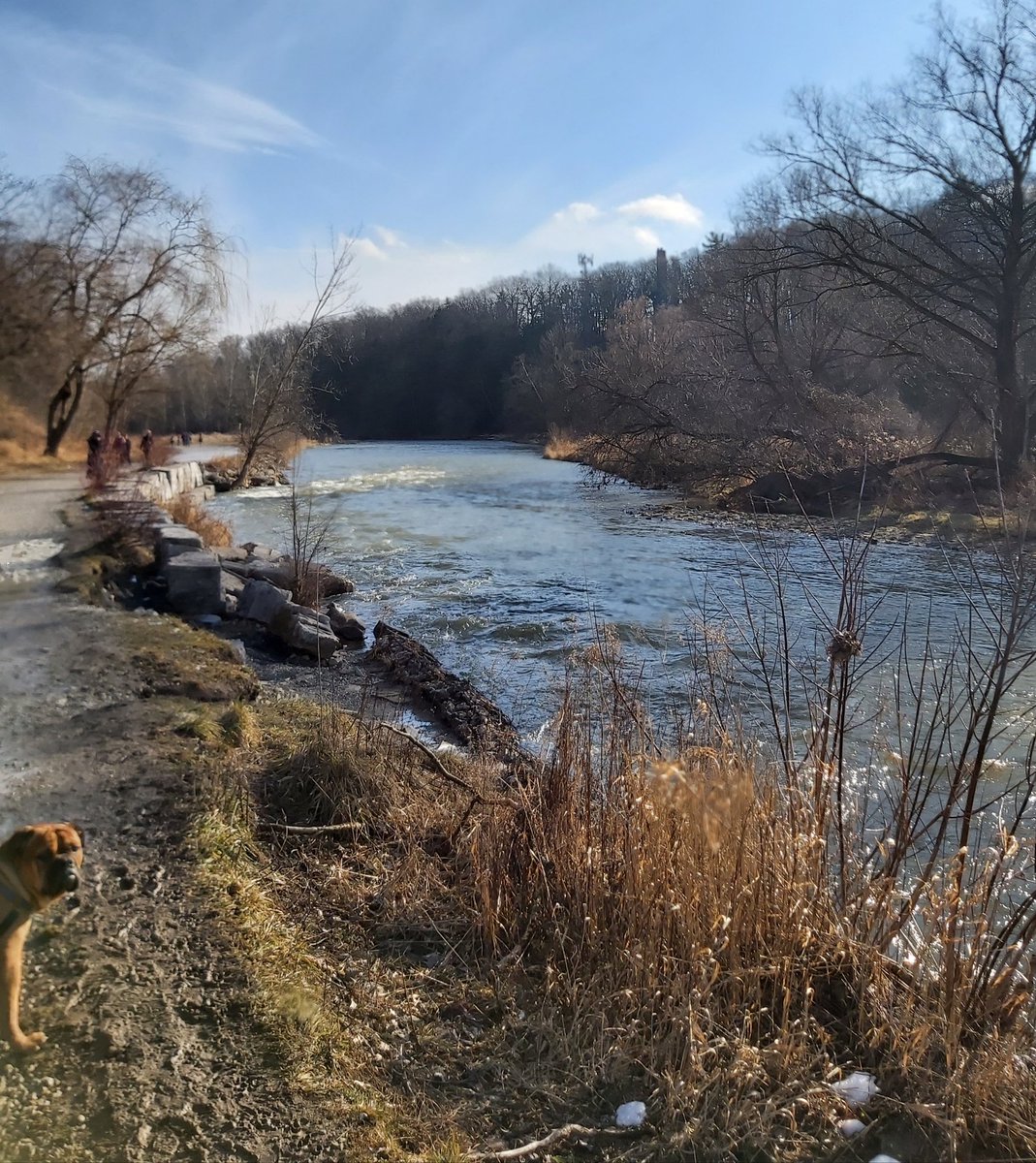 WJaroslawski's tweet photo. Scenic 4 hour outing yesterday along #CreditRiver not enough daylight hours to fill the void.🌞😎

#naturephotography #naturelovers #creditriver #reflectionphotography #reflection #inspirationalquotes #instaphoto #passionpassport #trees #treereflections #winterhiking https://t.co/CDCM9p3YVH