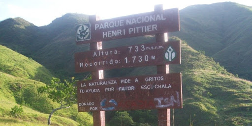Tras ser exonerado por los Tribunales sobre su colaboración con el régimen nazi, Schäfer se estableció en Venezuela entre 1949 y 1954, estudiando la fauna venezolana y dando clases. Puso en marcha la Estación Biológica Rancho Grande en el PN Henri Pittier