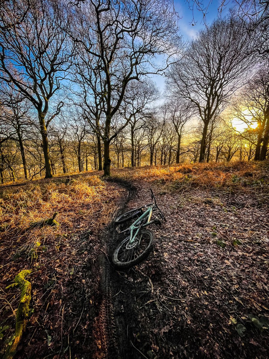 Forest of Dean MTB tweet media