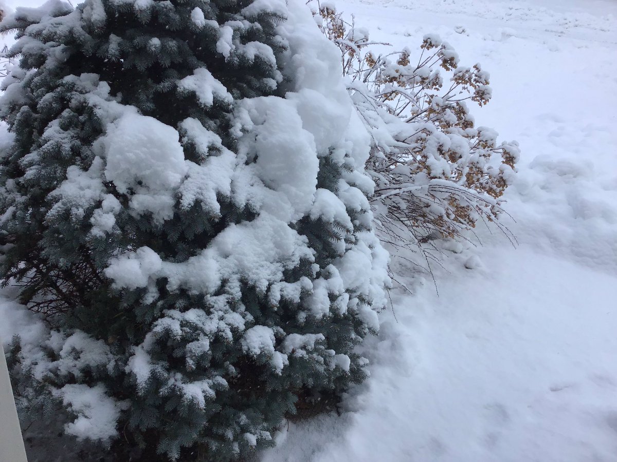 JenGilroy1's tweet image. It’s a #snowy weekend in #NorthGrenville! #ONStorm