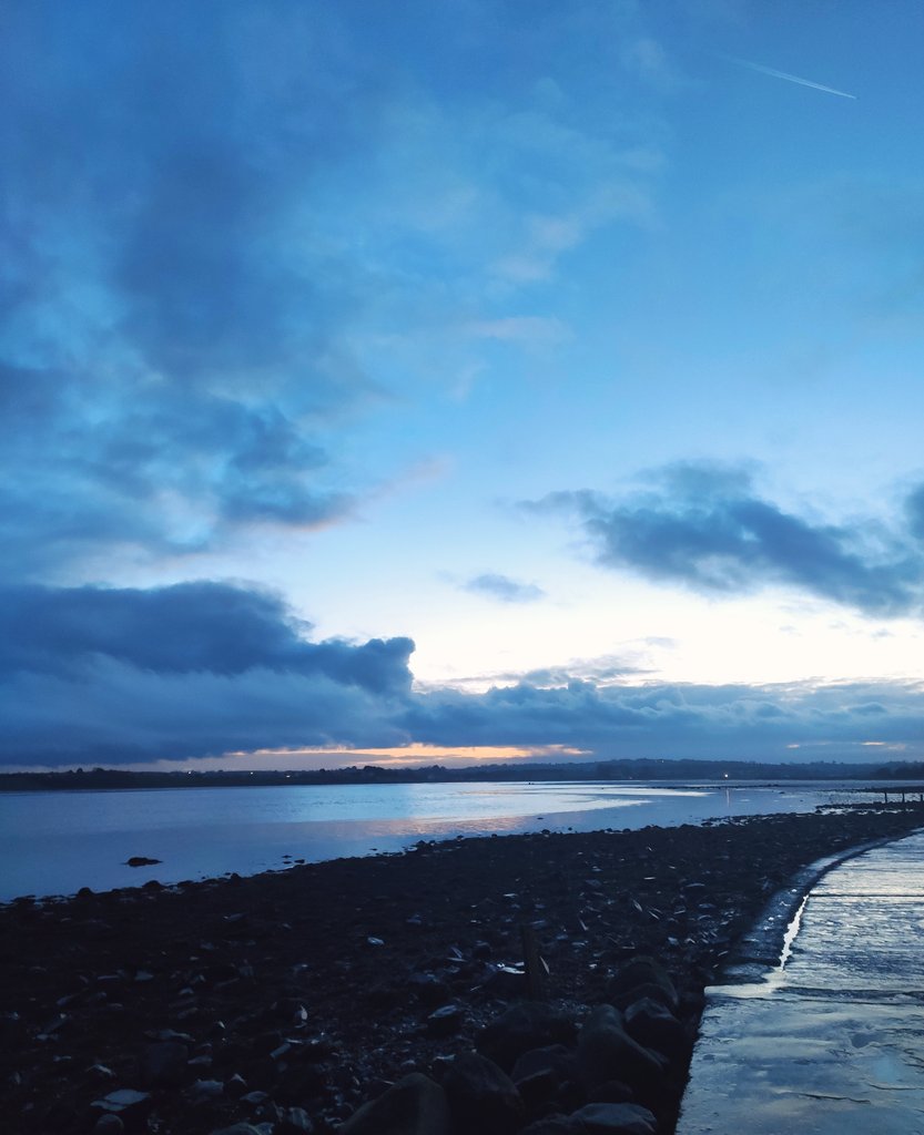 Orla Bannister tweet media