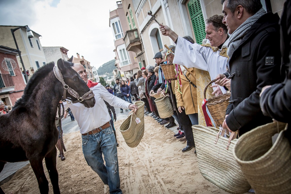 mcleod_vicki's tweet photo. @MajMalPodcast chats about the #fiesta of the animals, aka #StAntoni in the latest episode. Check it out wherever you get your podcast. Search "#Majorca #Mallorca" 
Photo @phoenixmediamlr https://t.co/Nv49s1hie4