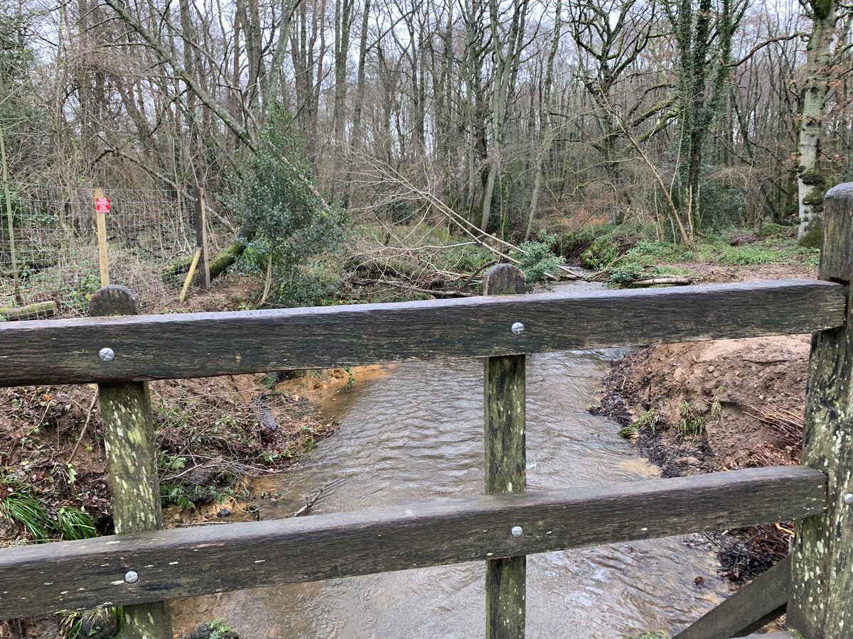 susywilkinson's tweet photo. Whilst I await my own test results and observe strict isolation rules I will post photos from my COVID album and hope that I can manage to stay sane! I miss the freedom of walking #PoohBridge #MrSandersHouse #AsdownForest #walk1000miles https://t.co/loAOVSnJPh