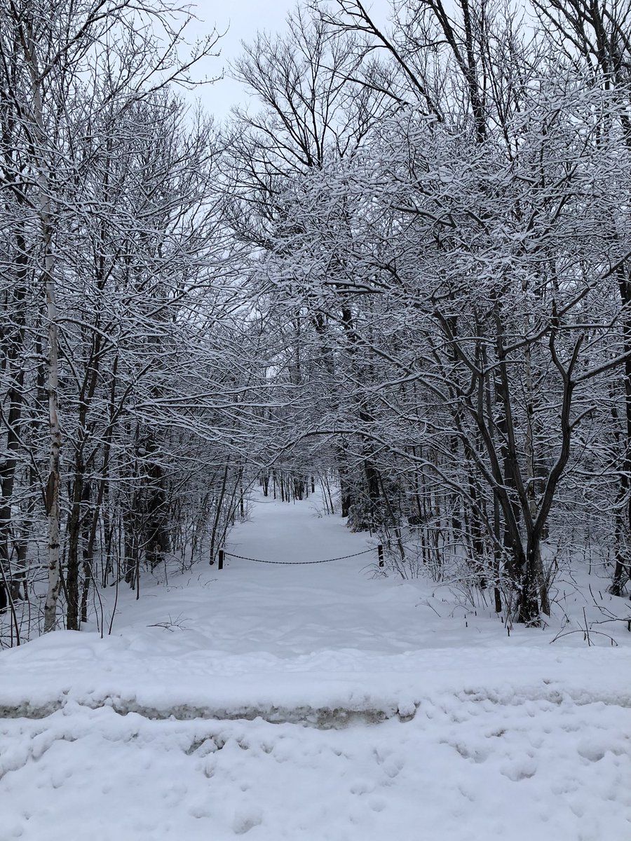 janica_e's tweet photo. Walking in a winter wonderland. Feeling blessed and grateful to live in such a beautiful part of the world! 
..
.
..
.
#WokeUpToThis #WinterWonderland #WinterIsBack #Winter #WinterInCanada #ShareYourWeather #DiscoverON #ProvinceOntario #BringOnTheSnow #FavouriteTimeOfYear #Snow https://t.co/UiInMtX8Wl