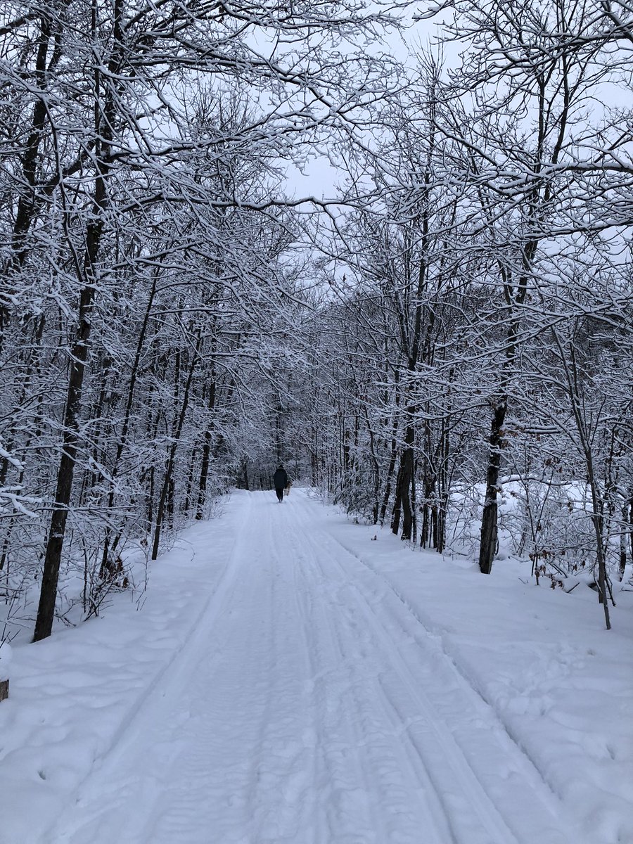 janica_e's tweet photo. Walking in a winter wonderland. Feeling blessed and grateful to live in such a beautiful part of the world! 
..
.
..
.
#WokeUpToThis #WinterWonderland #WinterIsBack #Winter #WinterInCanada #ShareYourWeather #DiscoverON #ProvinceOntario #BringOnTheSnow #FavouriteTimeOfYear #Snow https://t.co/UiInMtX8Wl
