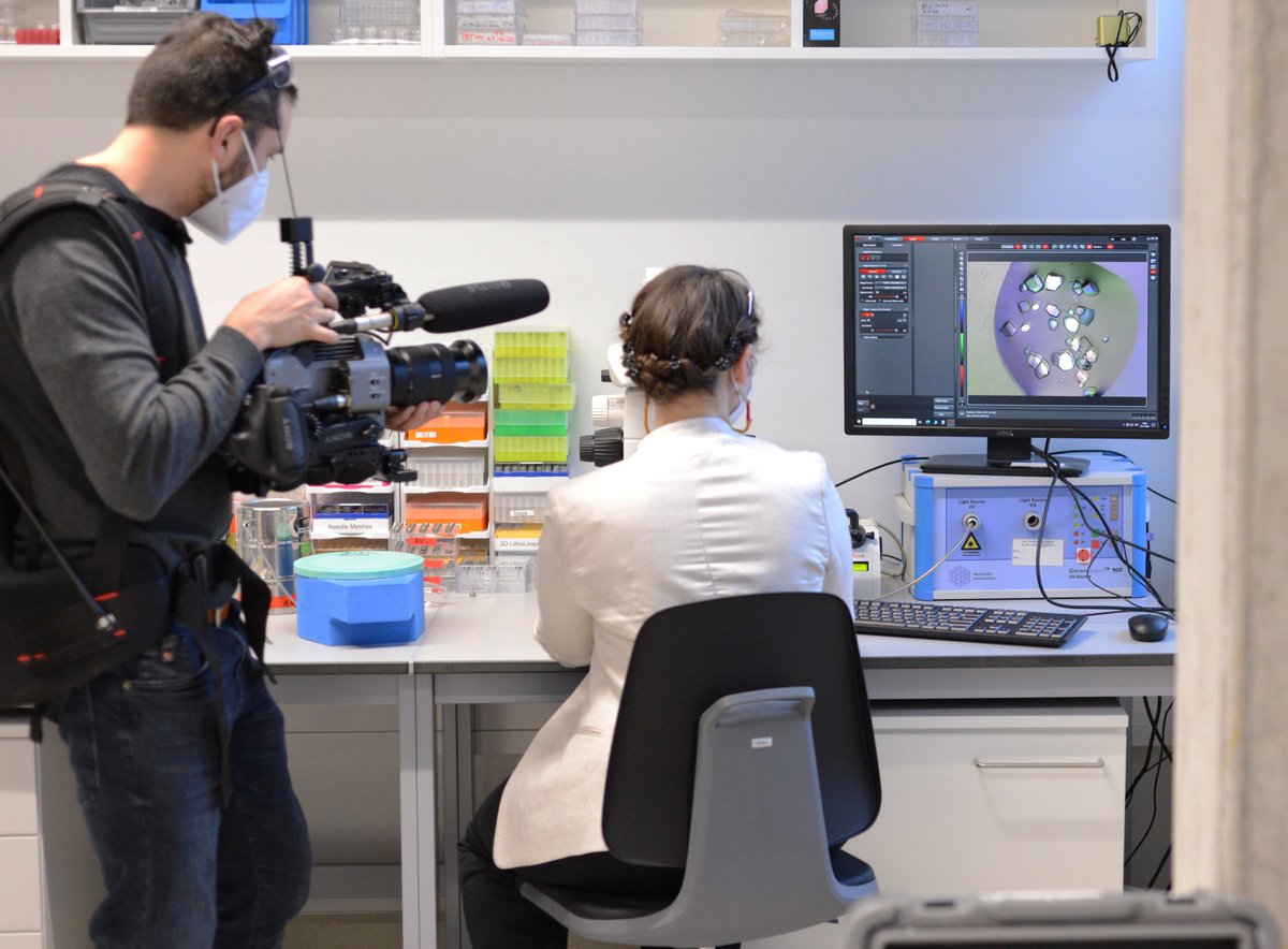 Andrea Thorn tweet media