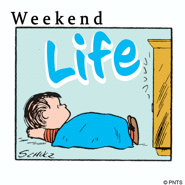 It's a cozy in front of the TV kind of day.