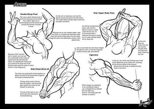 EdicionesHecate's tweet photo. @Hamm_Tips the answer is look for muscles in those cylinders! muscles everywhere! then make them more squishy than sharp if is not a fit character. https://t.co/ix6KVHzP8S