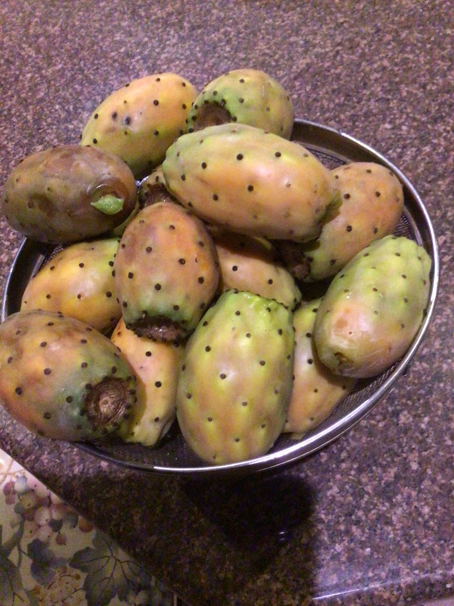 7. Got these delicacies from our home. Madhorofiyo! Lots of wild fruits this year. Plenty of green nzvirus also but not yet ripe!