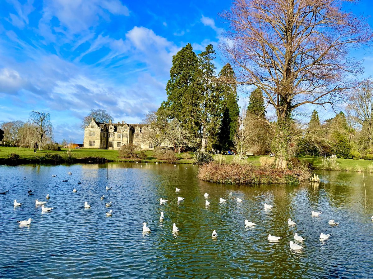 desidesignuk's tweet photo. Beautiful weekend walk @wakehurst_kew #weekendvibes https://t.co/aKZx7P52Te