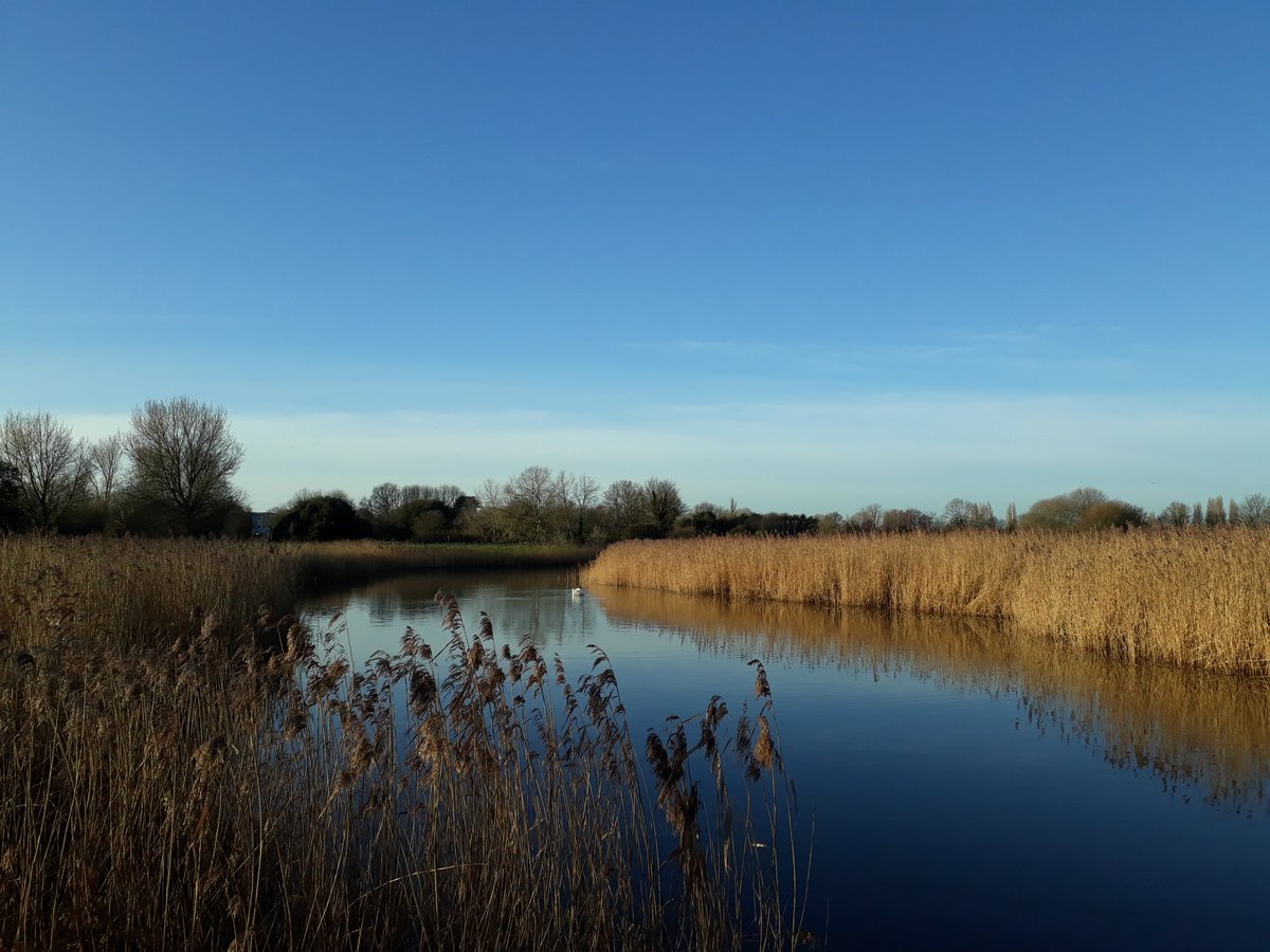 RobJames68's tweet photo. Weekend walking #GreatSalterns  #MiltonCommon #winterwalk  #walkingthedog https://t.co/3Fw5GH8pWV