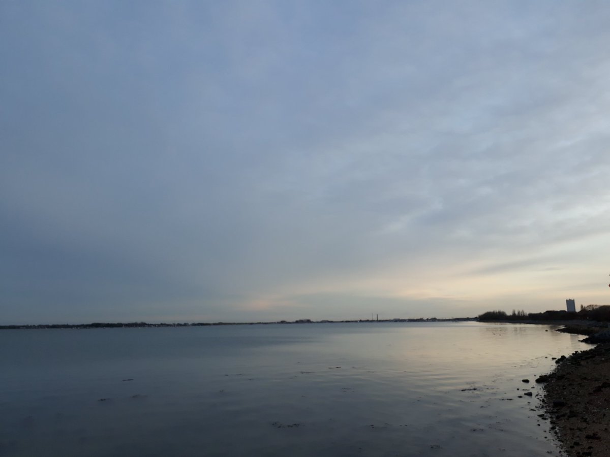 RobJames68's tweet photo. Weekend walking #GreatSalterns  #MiltonCommon #winterwalk  #walkingthedog https://t.co/3Fw5GH8pWV