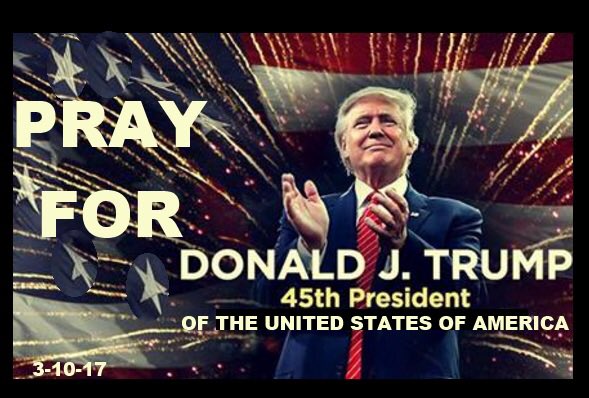 anita01250's tweet photo. @PrayingElves #PrayForPresidentTrump #PrayForPOTUS 🙏🏻🇺🇸🥰 https://t.co/BV29teDcgu