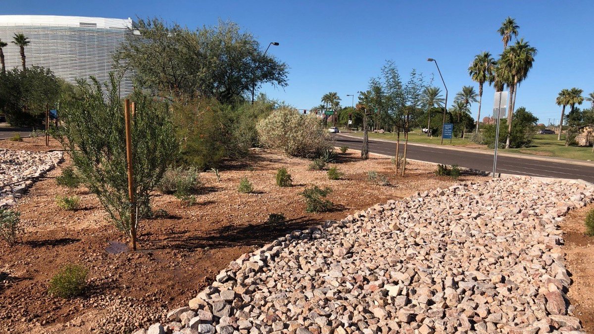 Tempegov's tweet image. How much of Tempe is covered by tree shade? How can you make a street median both safe and beautiful? Watch &quot;Tempe Accelerates&quot; on Thursday at 2 p.m. on tempe.gov/tempe11 
Details: mailchi.mp/tempe/tempe-ac… #tempeaz #ourtempe #millave #southtempestyle #downtowntempe