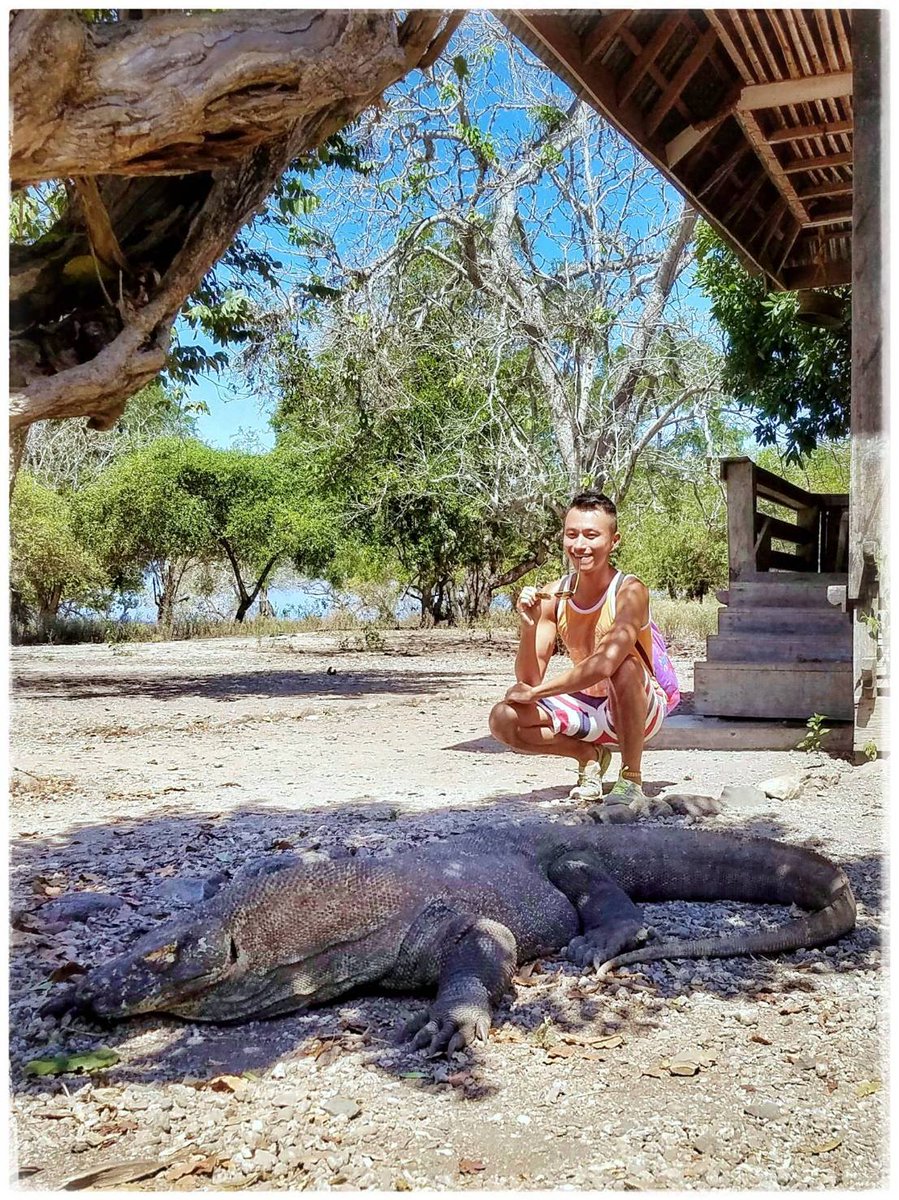 BenniPosenov's tweet photo. 好想去旅行!好想去旅行!好想去旅行!
#latergram #komodoisland #lombokisland #garudaindonesia #temporaryinsanity
#給我飛給我飛 #好想去旅行 #瘋了
#美好的時光 https://t.co/wQaUwsrdm1