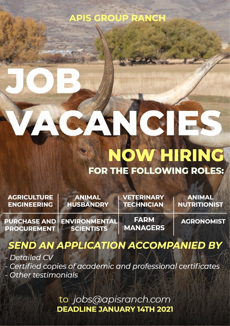 APIS RANCH on Twitter: APIS RANCH on Twitter: