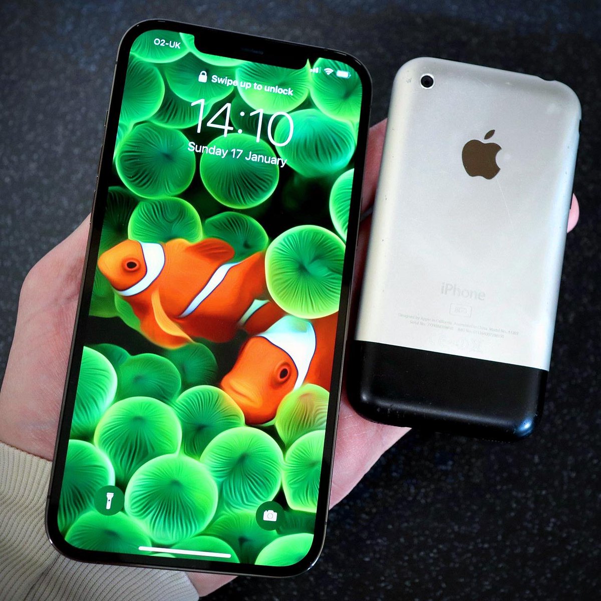 Hình nền Cá Hề từ thời iPhone 2G bất ngờ xuất hiện trên iOS 16 beta 3   TECHRUMVN