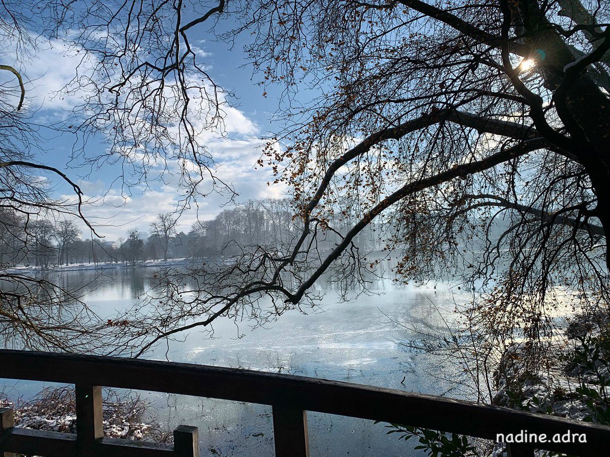 Magique❄️...
#nature #neige #poetry #photography
