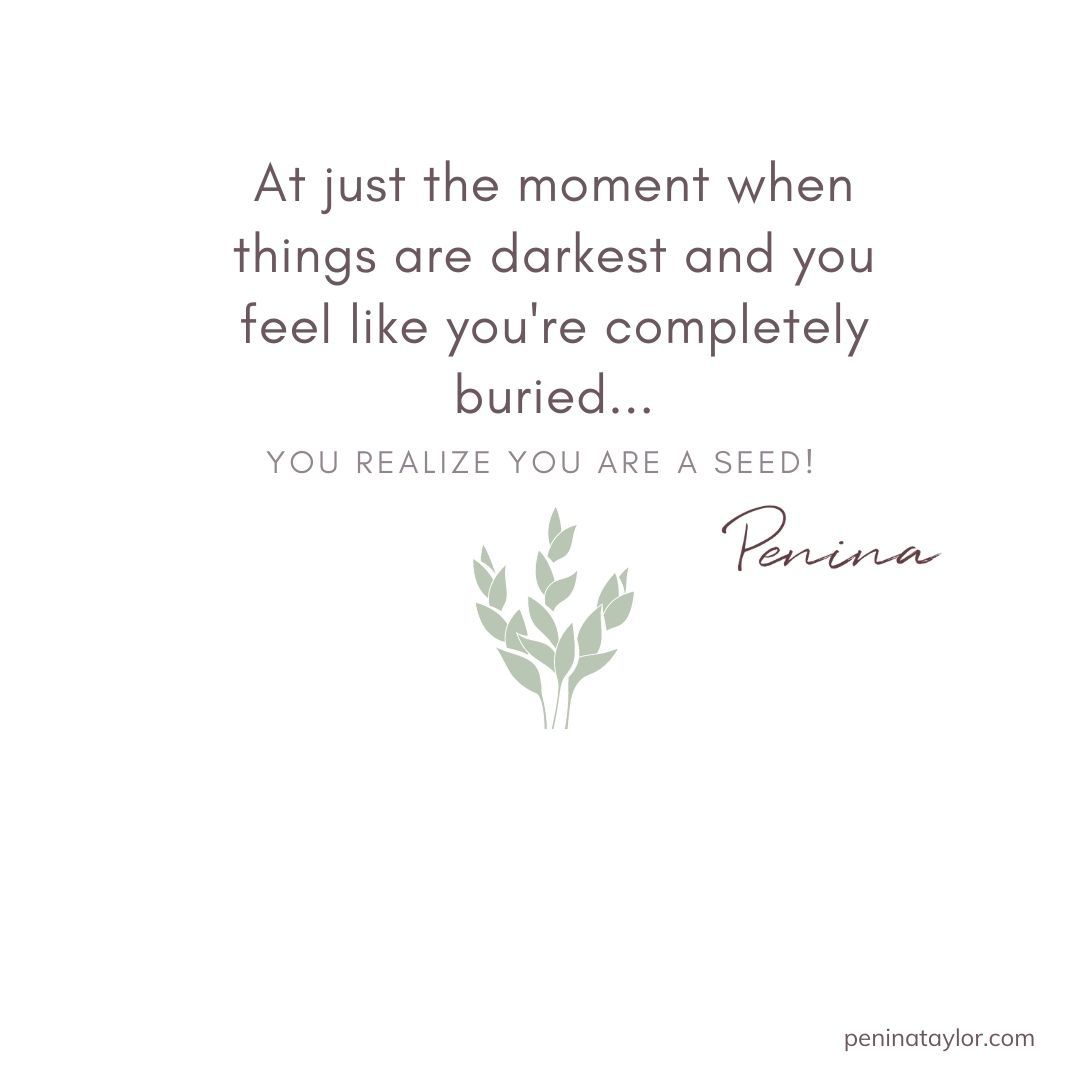 peninataylor's tweet photo. Whether you are at the end of your rope or the beginning of a new chapter, everything depends on how you frame it. #frameofmind #shifthappens #youareaseed https://t.co/lOvarXJAcr