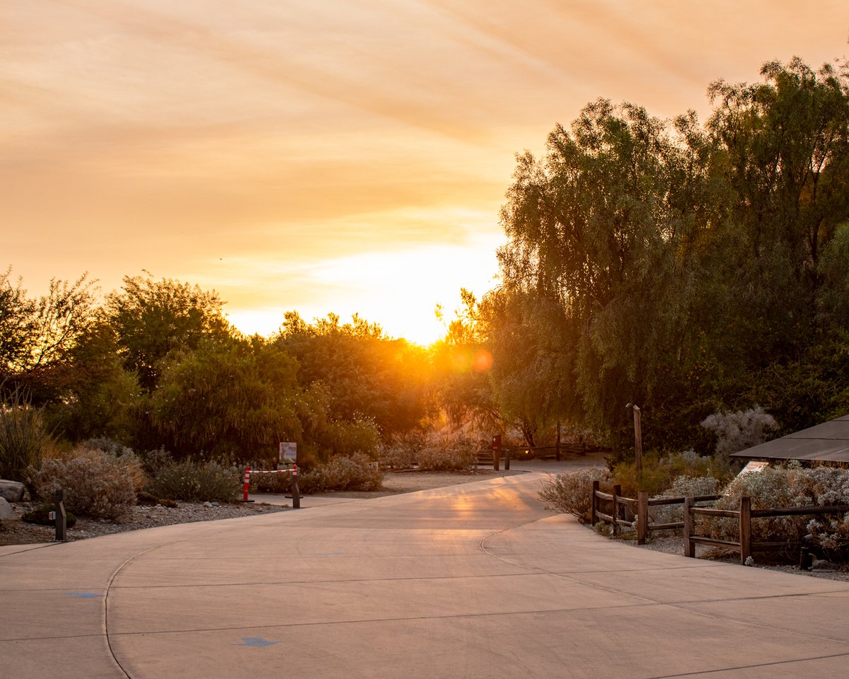 Be-ZOO-tiful day for a walk! We are open 8am - 5pm with last admission at 4pm. Don't forget to reserve your tickets in advanced! #WonderfullyWild #TheLivingDesert