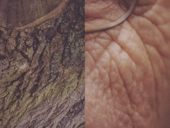 Somos da natureza e voltaremos a ela. Somos filhos da terra. 🌳