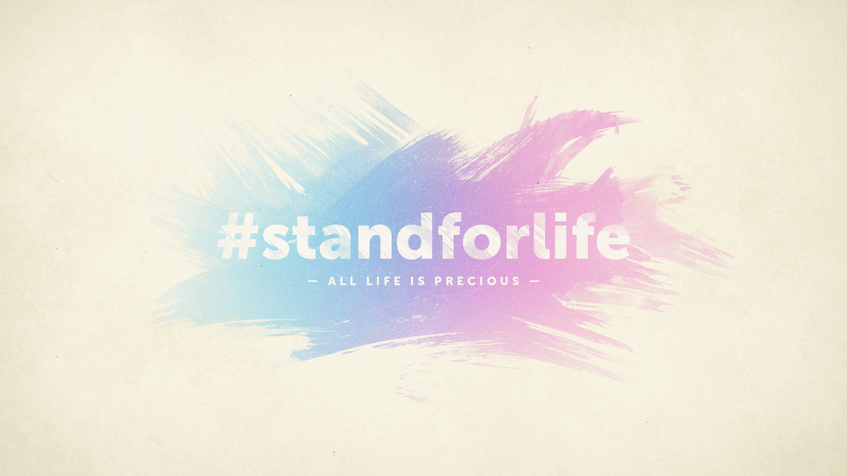 RedemptionMH's tweet photo. God's word is filled with reminders of the value and purpose of all human life, born and unborn:

“Before I formed you in the womb I knew you...” Jer. 1:5
“It is he who made us, and we are his...” Psalm 100:3

On this Sanctity of Life Sunday, we #standforlife. https://t.co/yh83SHNAGj