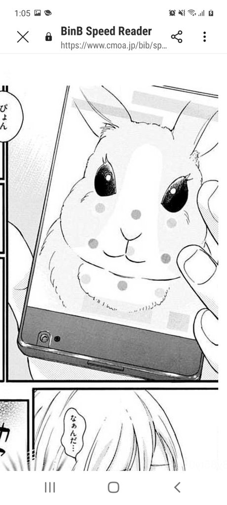 元々うさぎという存在は好きなのですが、面白い奴だったので私の漫画に