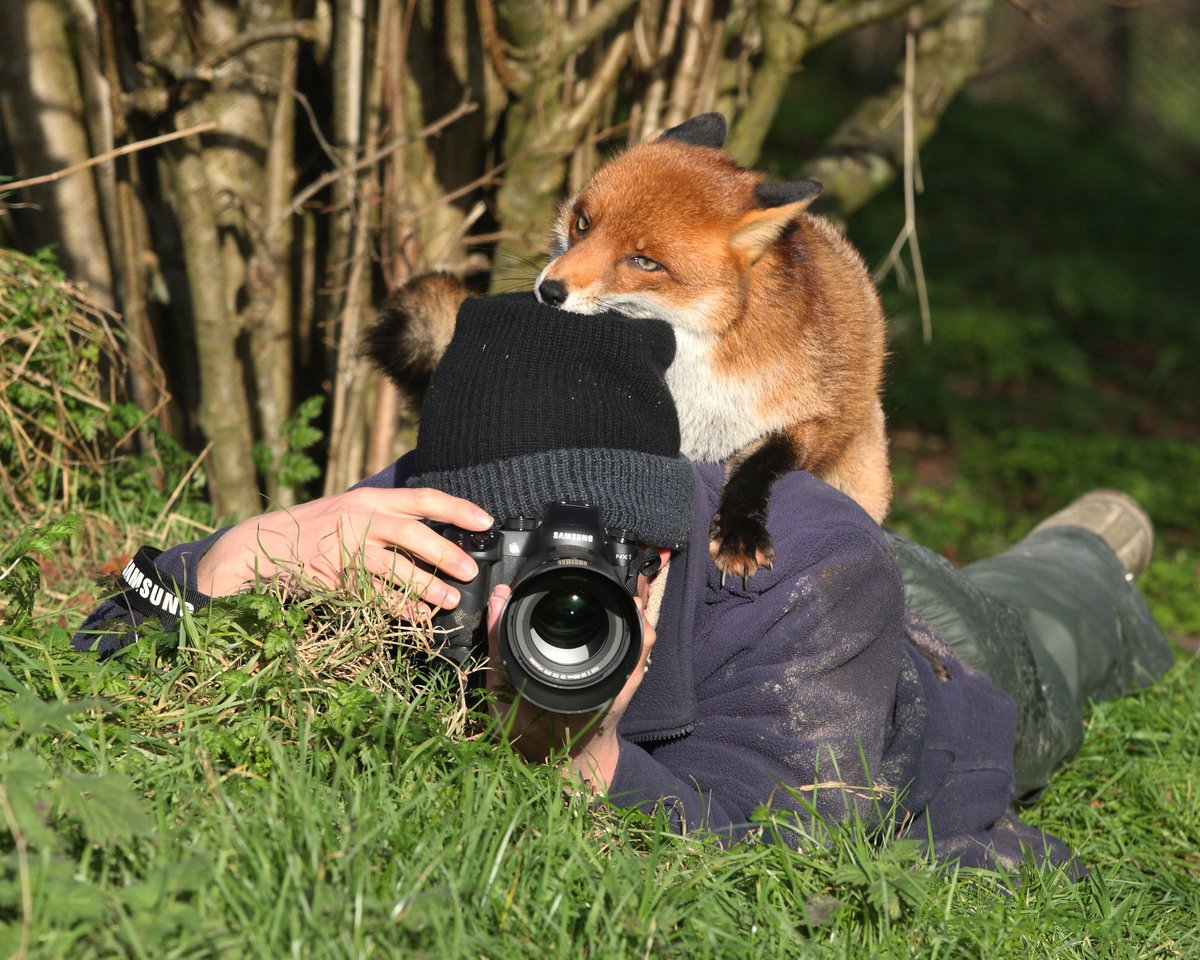 4. Animal interrupting wildlife photographer Gary Mann