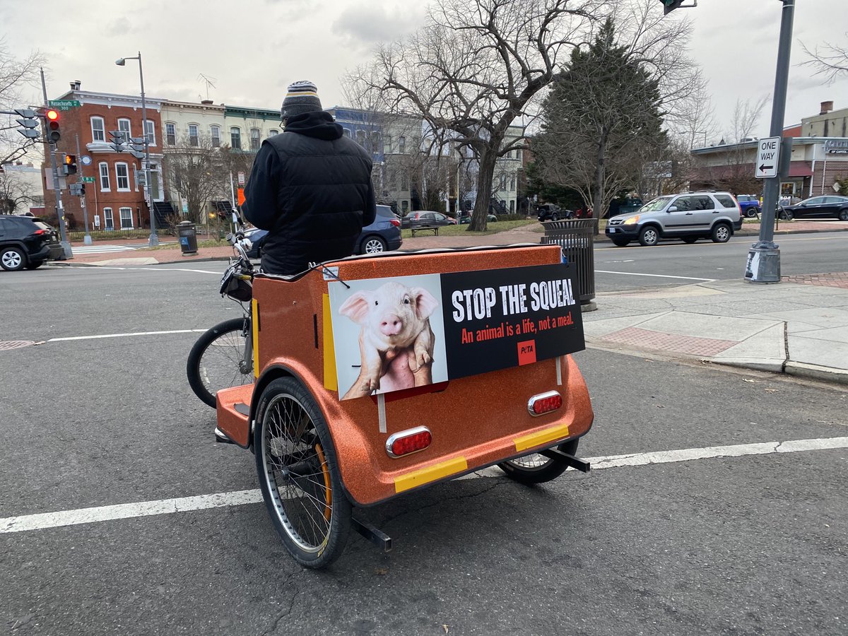 capitolization's tweet image. Hey @peta - WTF? Rethink your ad &amp;amp; don’t use a play on an insurrectionist seditionist authoritarian slogan to make your point. This is smack in the middle of DC Capitol Hill. @washingtonpost @DCist @maustermuhle