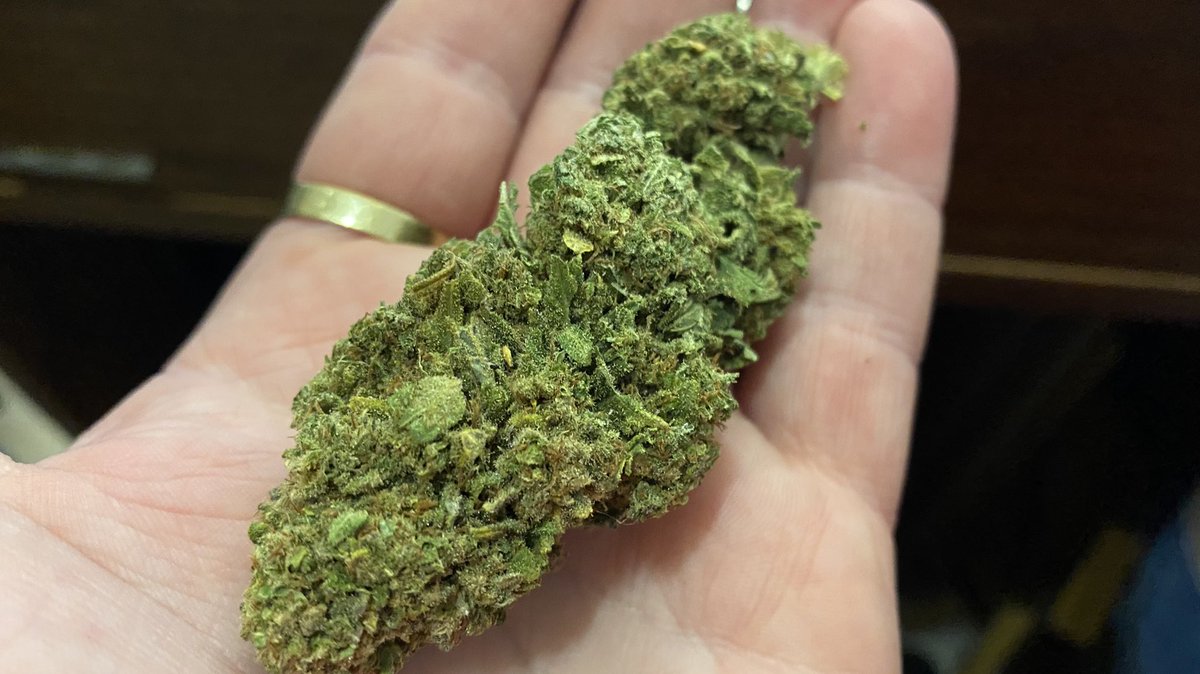 Smoke_from_the's tweet photo. Nouvelle récolte arrivée de la fleur cbd indoor Green Lemon Skunk SFTB. De somptueuses buds pleines de saveurs citronnées, pin, cèdre pour le plaisir gustatif des consommateurs de cannabis.

#weed #greenlemon #skunk #cannabis #cbd #cbdsuisse #indoor #cbdindoor #bigbud https://t.co/AgeE8Yb6P7