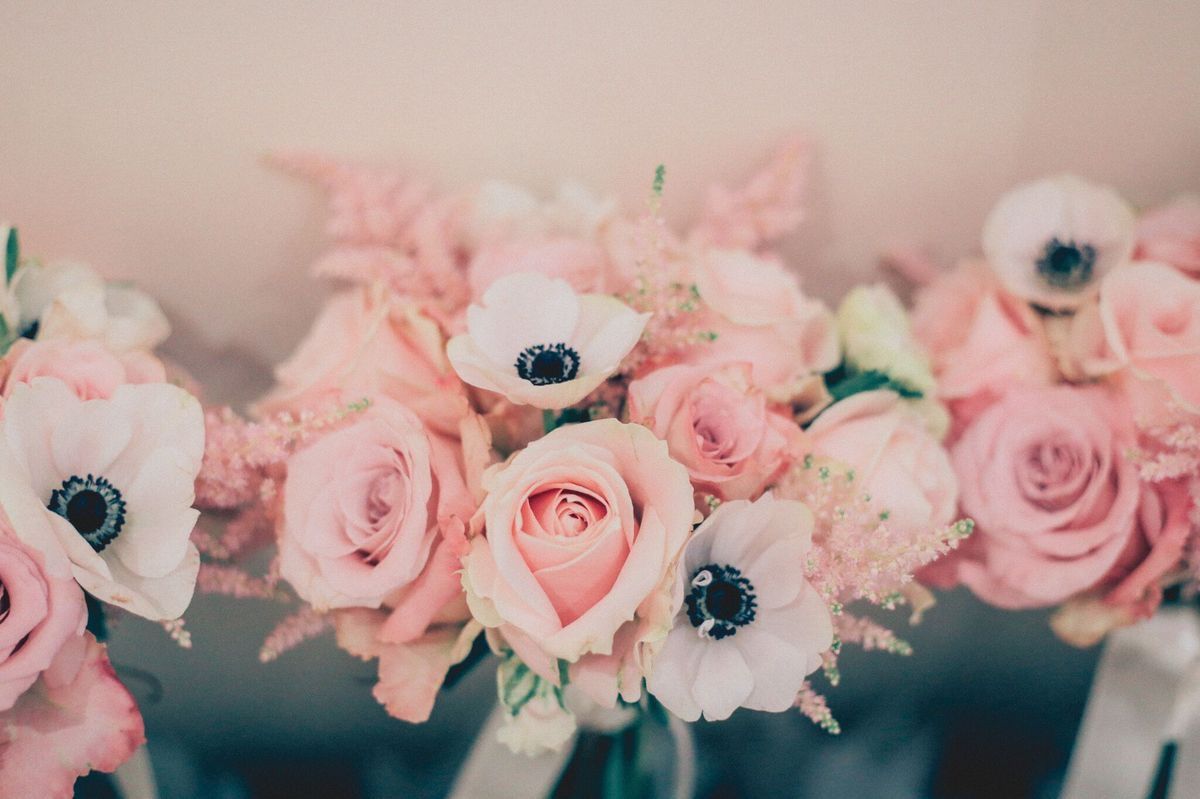 🔥New Supplier Alert🔥
On The Married In Kent Wedding Directory 💖⠀⠀
💝Bows & Blooms💝⠀⠀
🔗 buff.ly/2NejZ0g
💙Facebook: @bowsandbloomsflorist
💜Instagram: @bowsandbloomsflorist
#kentweddingflorist #kentflorist #kentflowers #kentflorists #kentweddingflowers #wedding