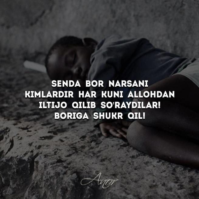 Elena Malyshevaning jinsiy aloqa haqida video dasturi