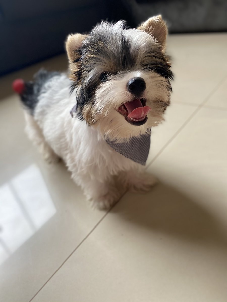 brunaaalmeida's tweet photo. 😍 https://t.co/NMpkW6Qc1w