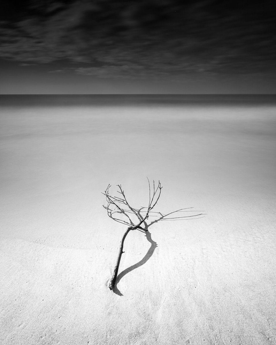LEEFilters's tweet photo. a more #minimalistic #composition, softening the water 🌊
Ale Rodrigues - #SãoSebastião
📍 #SãoPaulo# Brazil
📷 @CanonUSA #5DMarkIV
⭕ #Canon 17-40mm f/4 lens
⚙️ f16, ISO 100, 141s.
⬛ @LEEFilters 0.9 #3stop #ND #SoftGrad & #BigStopper #10stop
🔗 https://t.co/012d4WSEmJ https://t.co/nREPqBKRNc