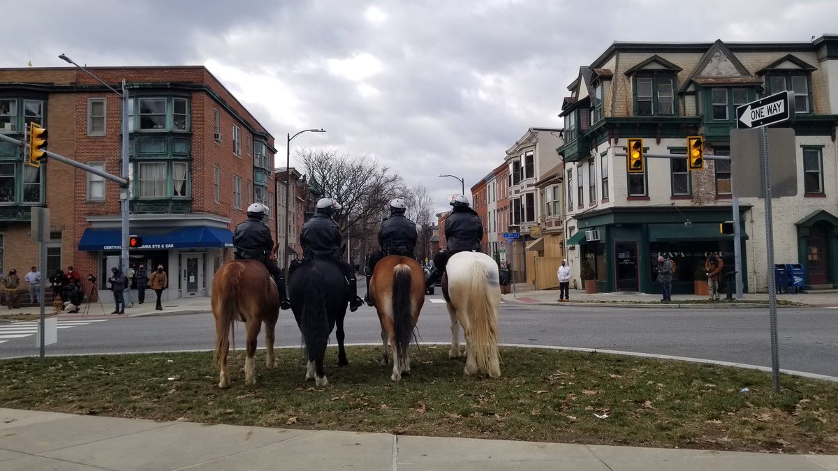 HARRISBURG -- Horse butts