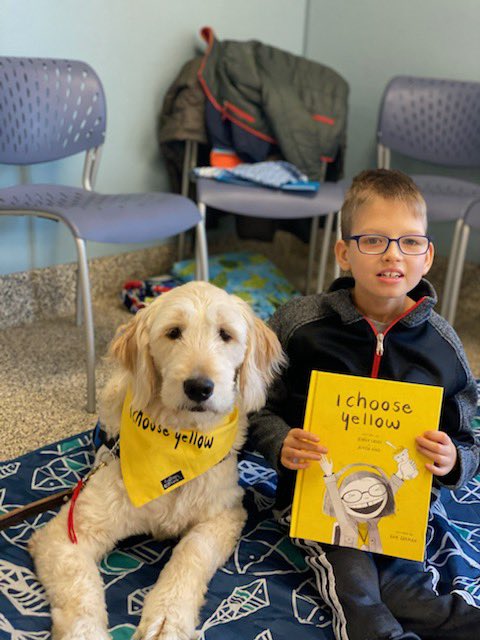 IChooseYellow's tweet photo. I Choose Yellow wants to give a HUGE CONGRATULATIONS to this amazing @4pawsforability service dog class. I cannot wait to see how these amazing kids and their service dogs take on the world together. 💛 https://t.co/3E80MNqY5k