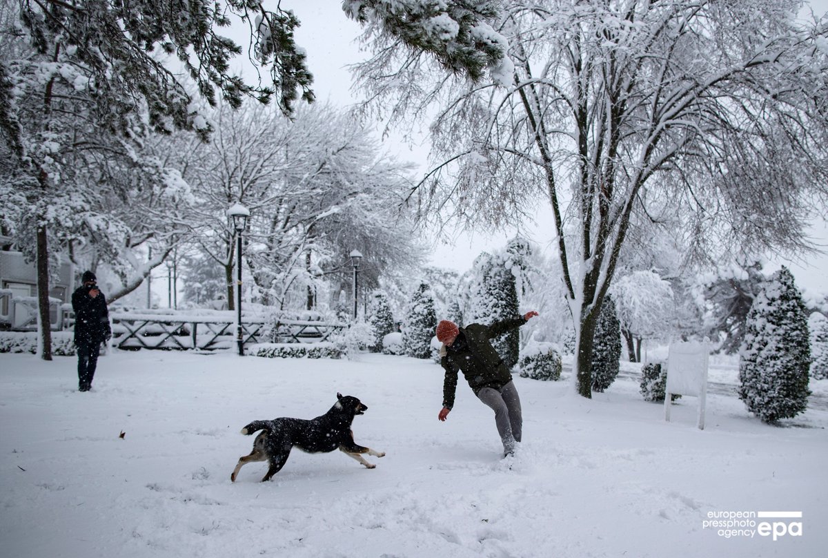 _erdemsahin's tweet image. #snowy day in #istanbul @epaphotos
