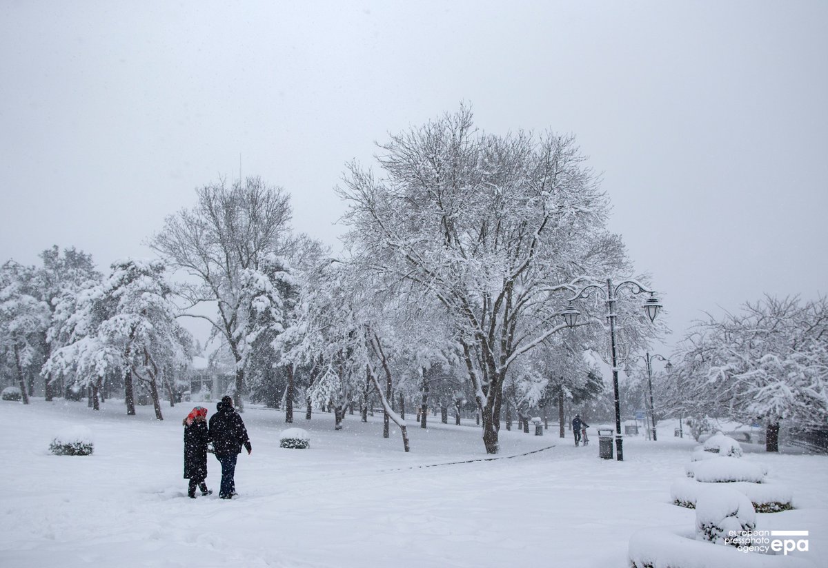 _erdemsahin's tweet image. #snowy day in #istanbul @epaphotos