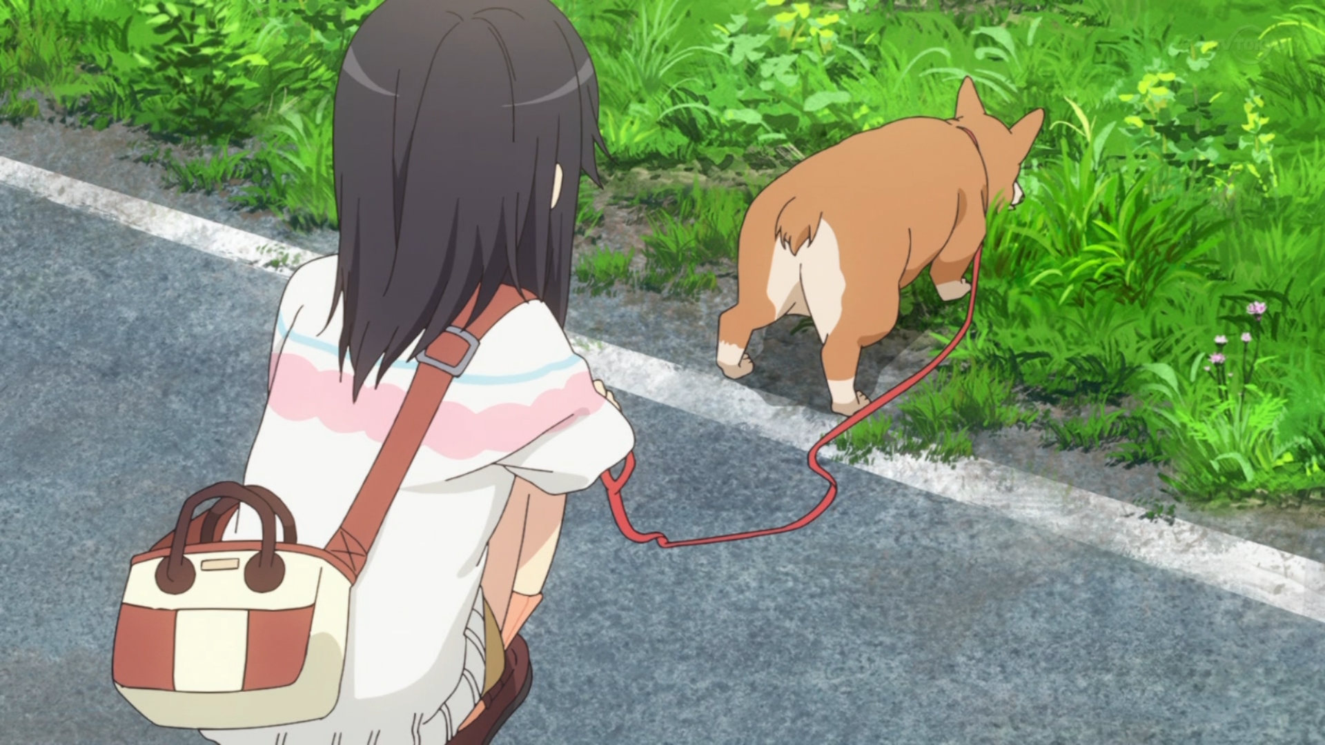 たごーる 犬ケツ なのん のんのんびより Nonnontv Tvtokyo T Co Cdlbvgfcqu Twitter