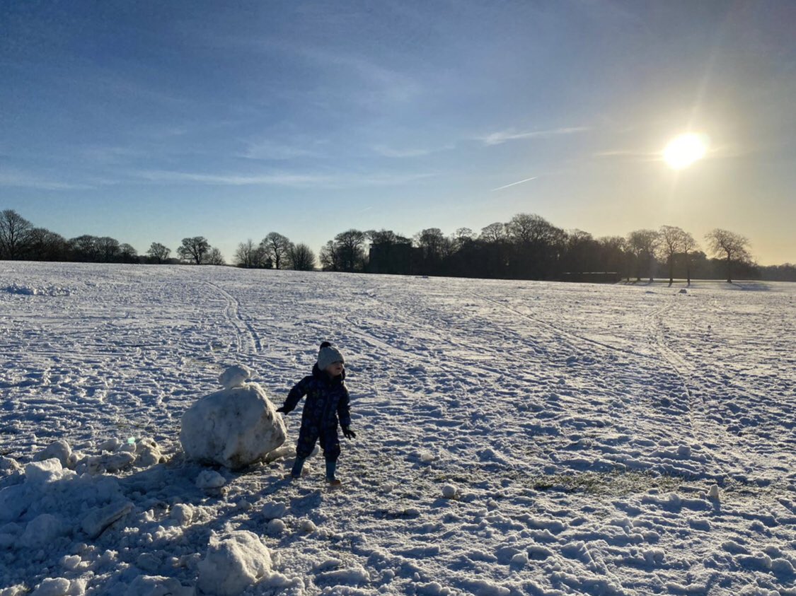 NotSoDadOTYear's tweet photo. What a treat the snow has been! So as it melts away here are my snowday highlights  #snow #snowday #SnowMan #dadlife https://t.co/V6jPcjT3Xj
