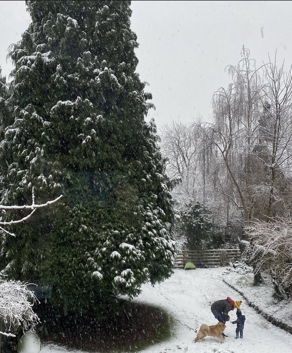 NotSoDadOTYear's tweet photo. What a treat the snow has been! So as it melts away here are my snowday highlights  #snow #snowday #SnowMan #dadlife https://t.co/V6jPcjT3Xj