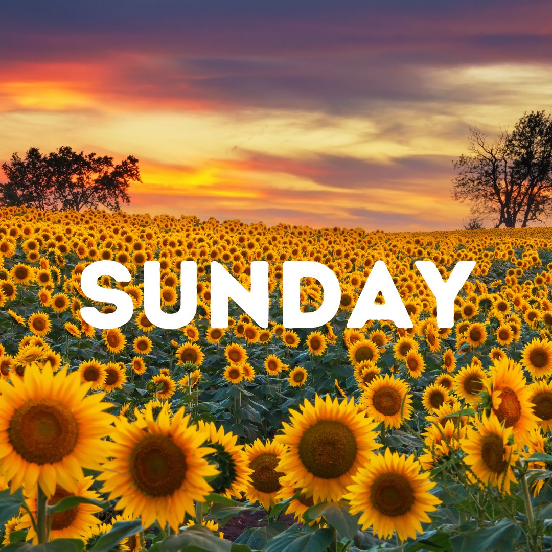 KansasBankers's tweet image. Hope everyone is having a great Sunday!