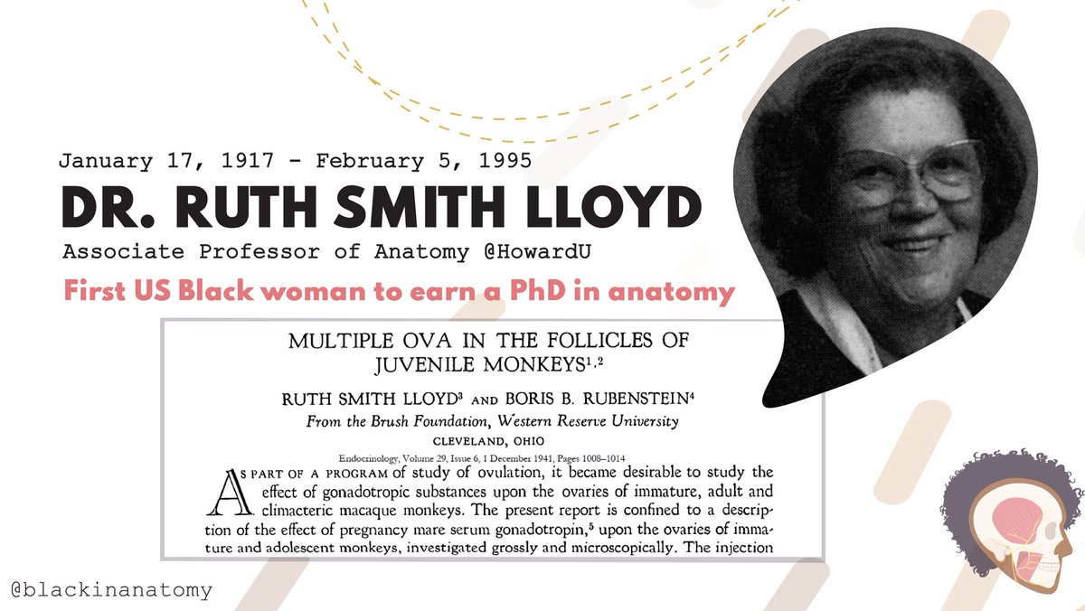 blackinanatomy's tweet photo. #Today we’re honoring the #birthday &amp; life of Dr. Ruth Smith Lloyd, an #anatomist, #researcher &amp; the 1st #Black #woman to earn a #PhD in #anatomy. A DC native, she earned a BA from @mtholyoke, MS in #Zoology from @HowardU, and PhD from Western Reserve now @cwru in 1941. https://t.co/8DpQUFpMXR